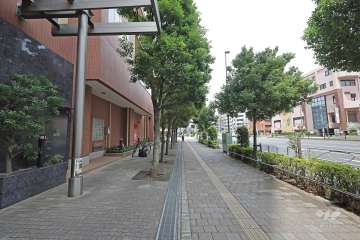 敷地北東側の前面道路（南東側から）