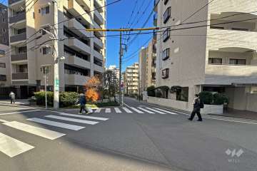 敷地の西側前面道路（南側から）