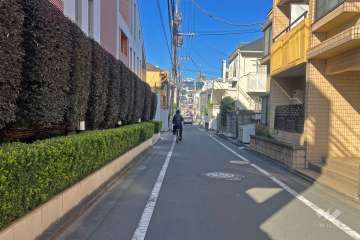 敷地の東側前面道路（南側から）