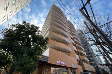 ダイアパレス西巣鴨の外観（北東側から）
