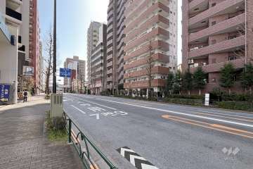 敷地東側の前面道路（北側から）