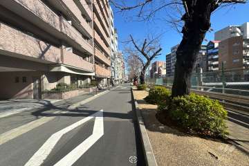 敷地の南東側前面道路（南西側から）