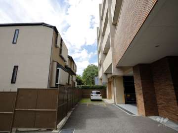 敷地南側の様子