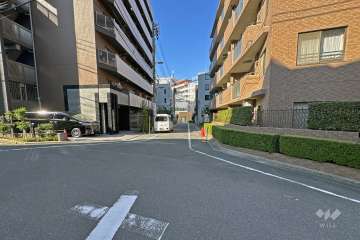 敷地の西側前面道路（南側から）