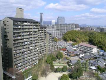 敷地の東側には竹林も残っています。