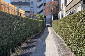 エントランスアプローチ