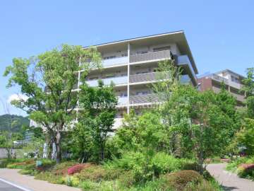 敷地内はたいへん緑豊か