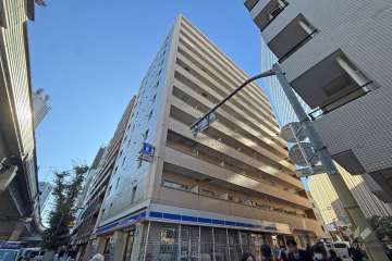 ドミール池袋の外観（北東側から）