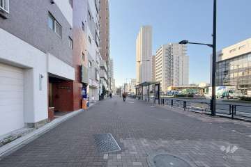 敷地西側の前面道路（北側から）