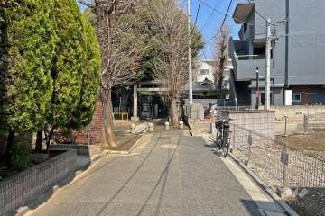 敷地南側の前面道路（南側から）