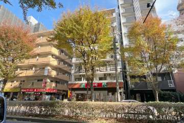 エリゼー池袋の外観（南西側から）