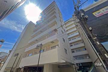 巣鴨陽光ハイツの外観（北側から）