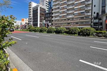 敷地の南西側前面道路は白山通りです（南東側から）。