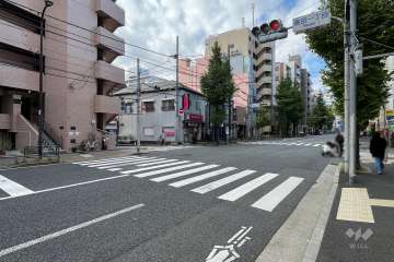 敷地北側の前面道路