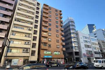 ライオンズマンション池袋第3の外観（北東側から）