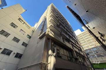 東カングランドマンション池袋キャッスルの外観（南側から）