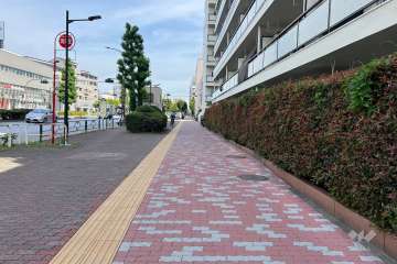 敷地の北東側前面道路（北西側から）
