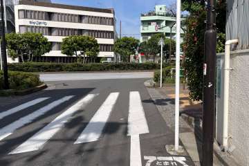 敷地の北西側前面道路（南西側から）