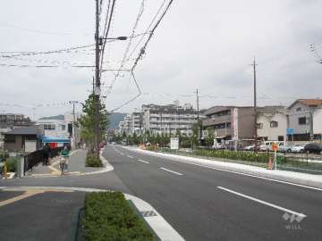 マンション西側道路。交通量は多いです。