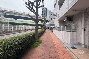 敷地南側の前面道路（東側から）
