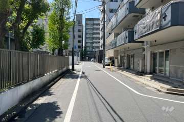 敷地の南東側前面道路（北東側から）