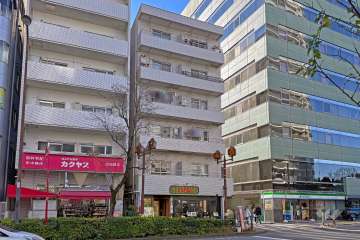 ハイマート西池袋の外観（北東側から）