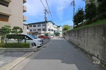 敷地西側の前面道路（北側から）