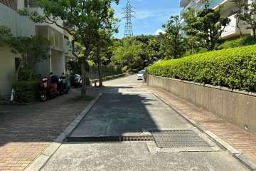 敷地内の各所に植栽スペースが設けられています。