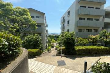 敷地内の通路。植栽が緑豊かです。