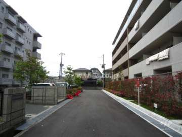 敷地南側の前面道路（東側から）