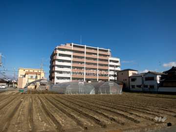 クレヴィア武庫之荘の遠景