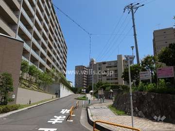敷地西側の前面道路。敷地の周囲は道路や駐車場、緑地などで、開放感があります。