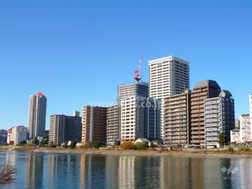 武庫川沿いにマンションが立ち並んでいます。