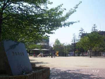 目の前に長興寺公園があります