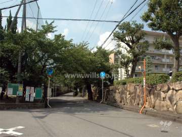 敷地の西側は桜並木の通りを挟んで、第二中学校です。