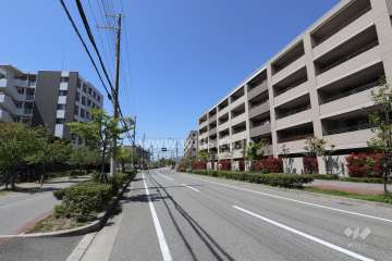 敷地北側の前面道路。「臨港線」は歩道が整備されており街路樹がきれいな通りです。