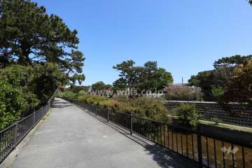 夙川沿いに「夙川オアシスロード」があります。