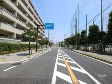 物件の南側前面道路（西側から）