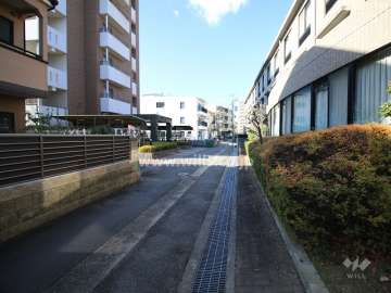 敷地北側の前面道路（東側から）