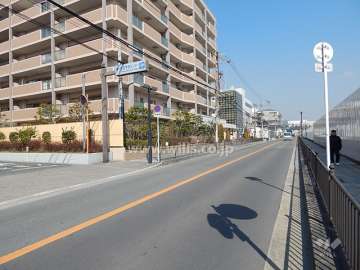 敷地の前面道路