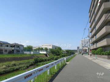 敷地の西側前面道路。大正川が流れています