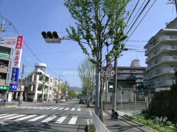 敷地の西側にはロマンチック街道が走っています。
