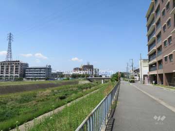敷地西側の前面道路。道を挟んで大正川が流れています