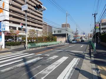 敷地南側の前面道路（二車線のバス通り）