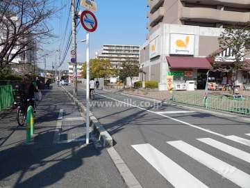 敷地西側の前面道路
