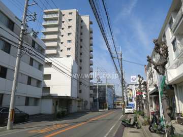 敷地北側の前面道路