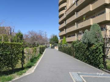 敷地西側の前面道路（南側から）