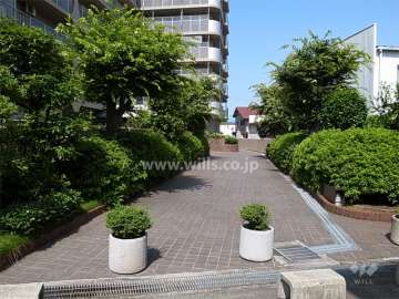 植栽の緑がきれいなエントランスアプローチ