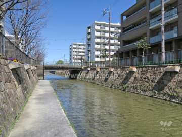 西側は小川（淀川水系）が流れています。