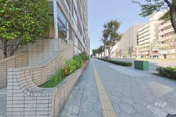 敷地北側の前面道路